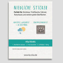 Lade das Bild in den Galerie-Viewer, Sticker KROKODIL | wasser- & spülmaschinenfest